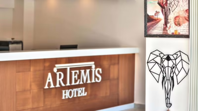 KAS ARTEMIS