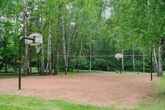 ЖЕЛЕЗНЯКИ