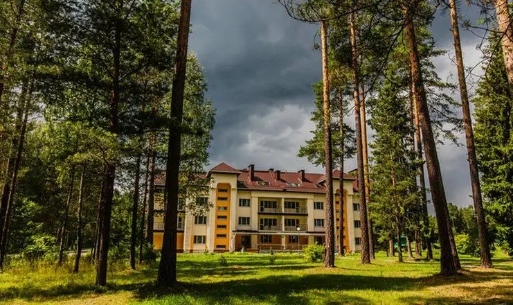 БОРОВОЕ