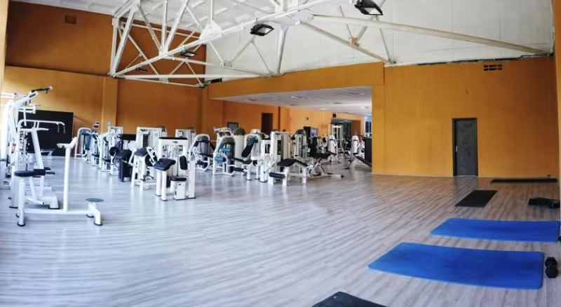 ARENA