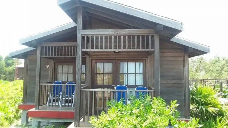 CAYO LEVISA