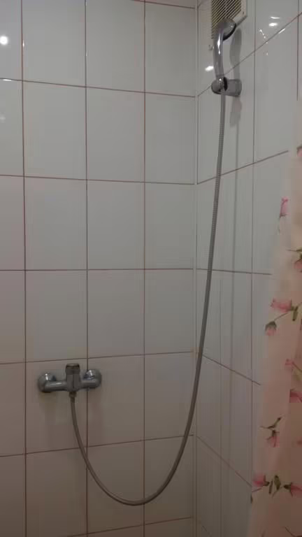 АЛЫЙ ПАРУС