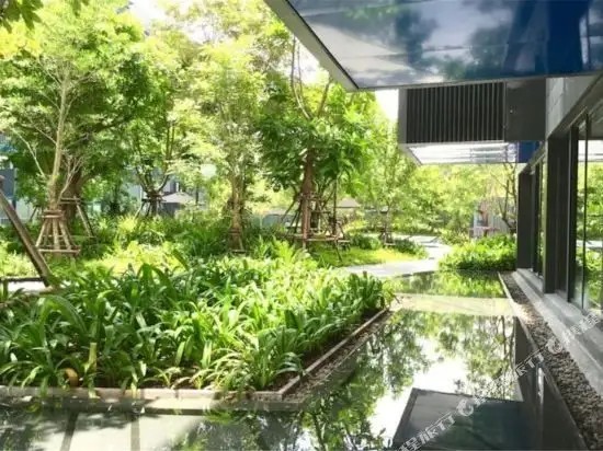 THE DECK PATONG BY DREAM