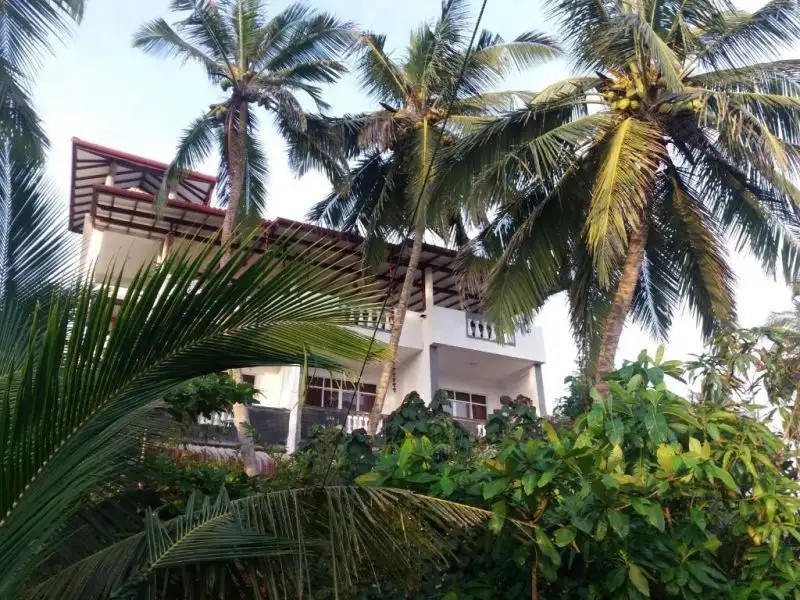 PEACOCK WINGS GUEST HOUSE