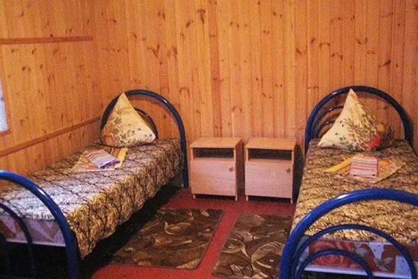 ДЕЛЬФИН (БЫВШ. АТЕЛИКА ДЕЛЬФИН)
