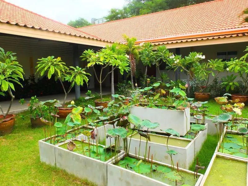 LOTUSLAND RESORT