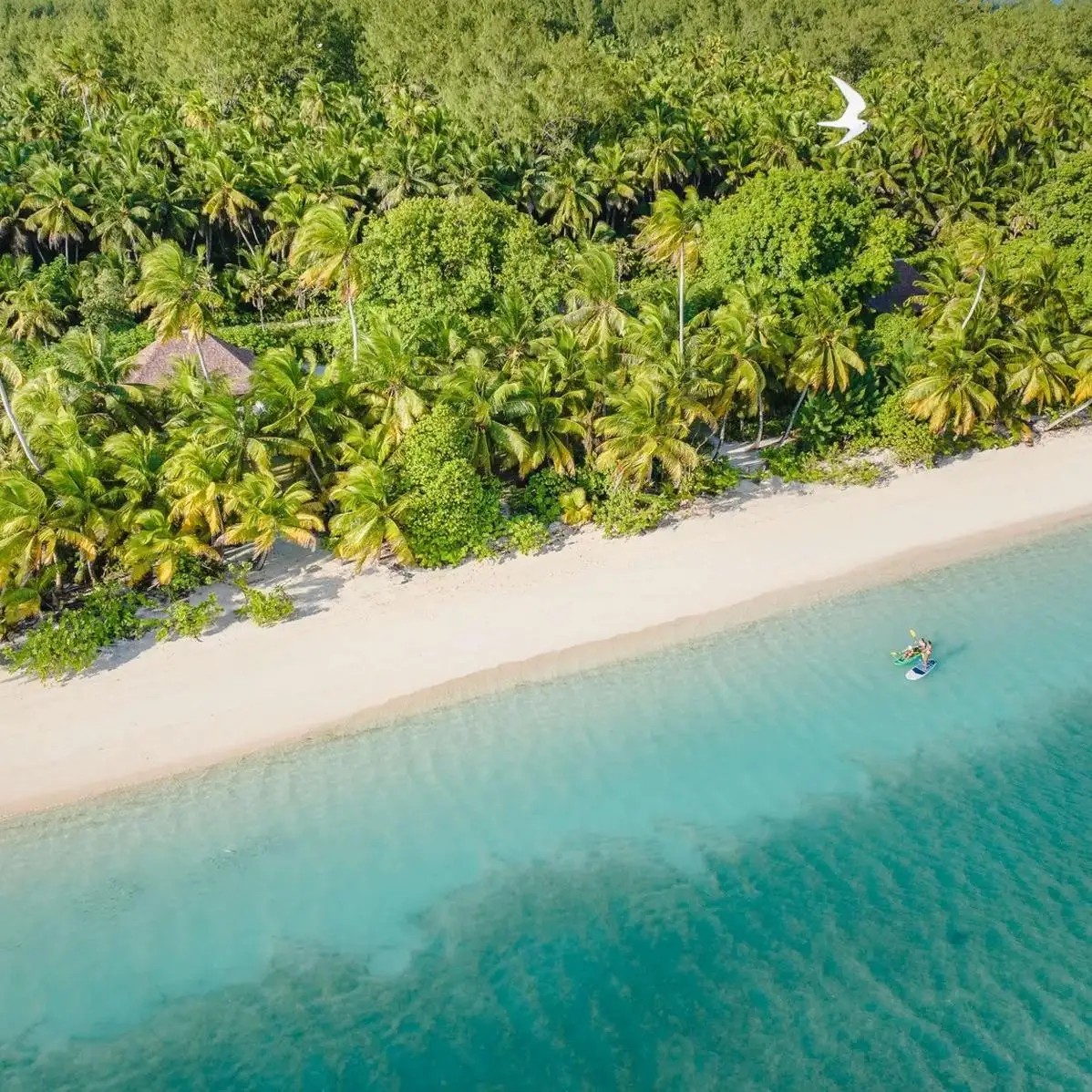 ALPHONSE ISLAND RESORT