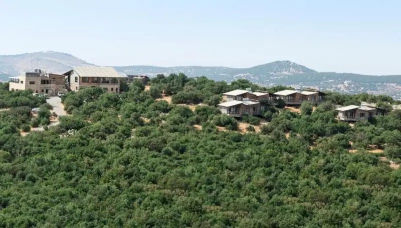 AJLOUN FOREST RESERVE
