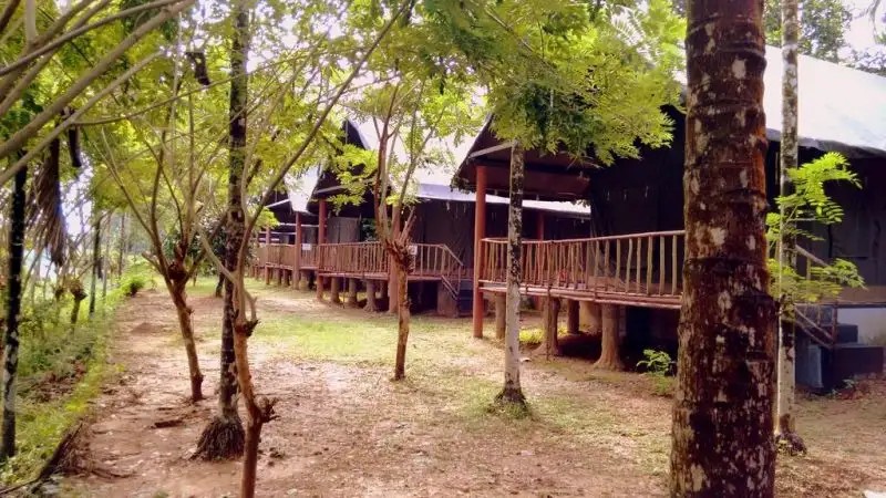 HORNBILL CAMP