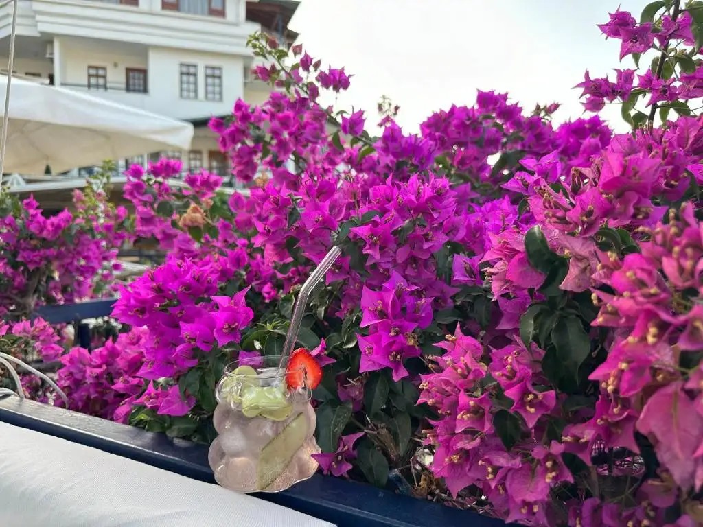 NATURELLA HOTEL & APART
