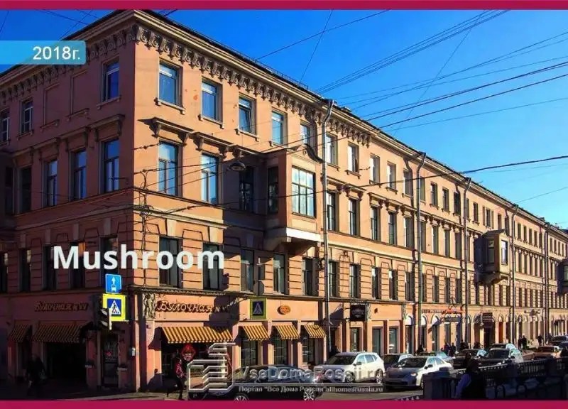 MUSHROOM 24