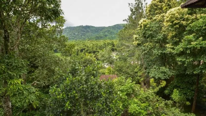 TREE TOP HOTEL