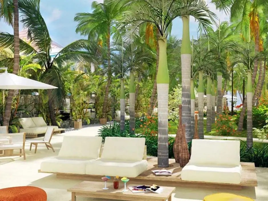 FRIDAY ATTITUDE (EX. LE BOUGAINVILLE)