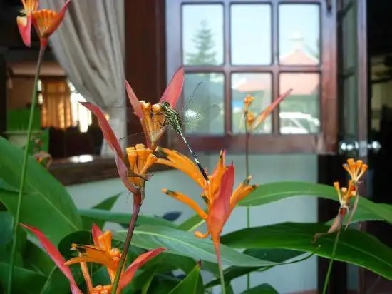 GOLF HOI AN