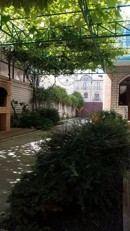 ГОСТЕВОЙ ДОМ ОЛЬГА