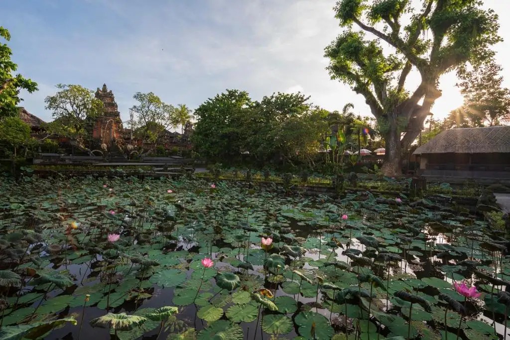 PURI SARASWATI DIJIWA UBUD