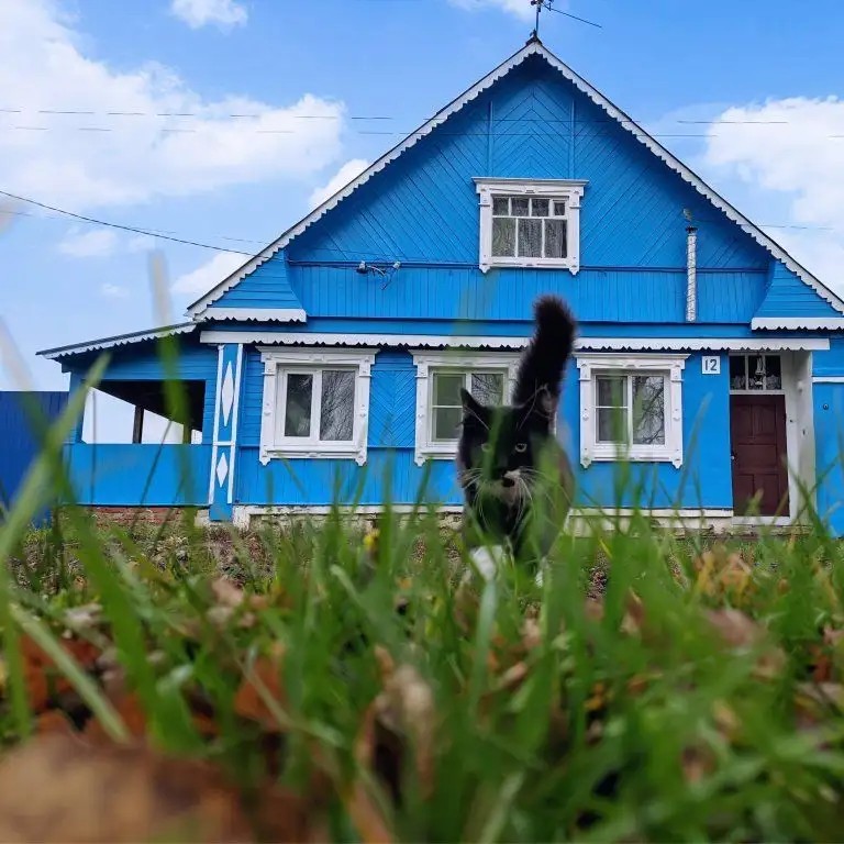 У АЛЕКСАНДРА