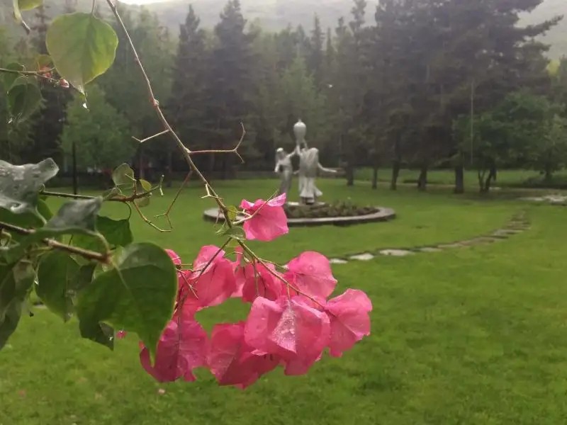 JERMUK OLYMPIA