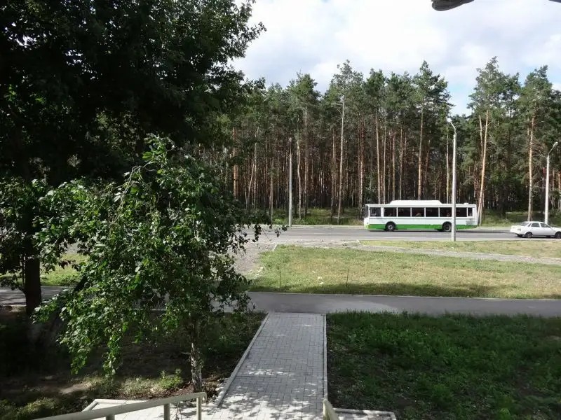 ЗОЛОТАЯ РЫБКА