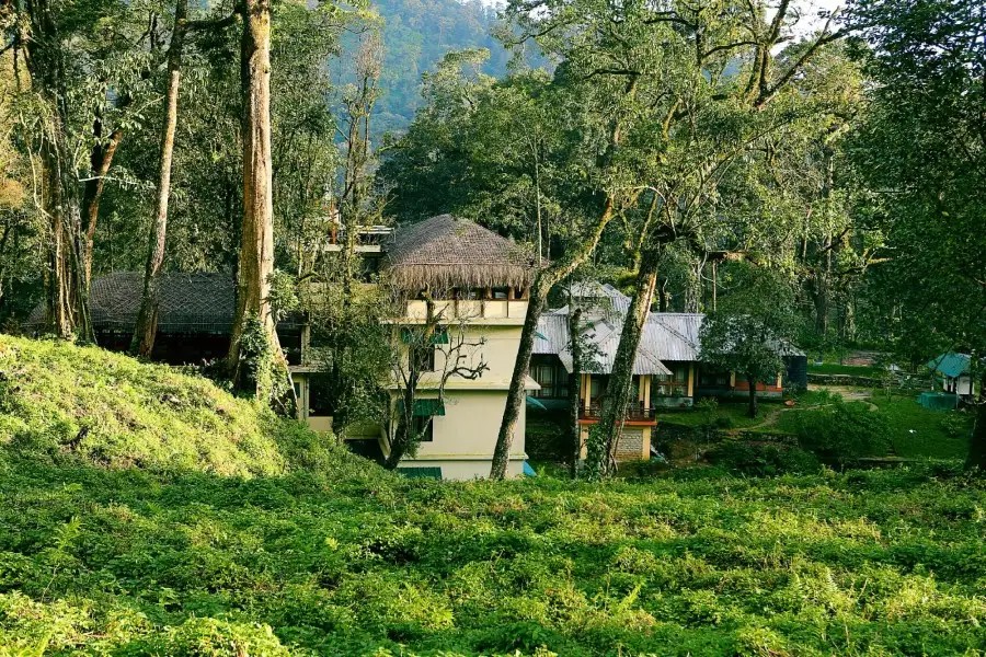 DEEP WOODS RESORT