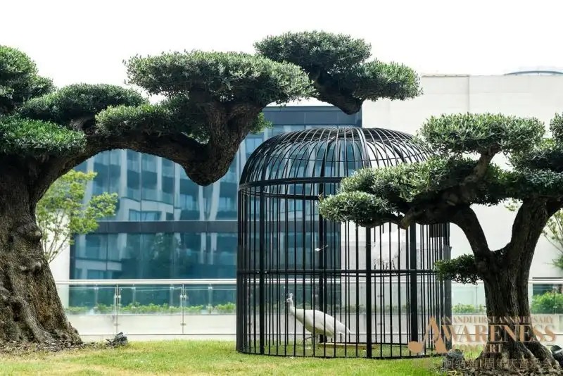 THE ANANDI HOTEL AND SPA
