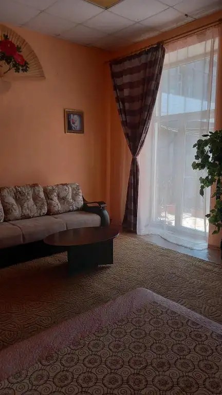 ТЕРЕМОК НА СВЕТЛАНСКОЙ