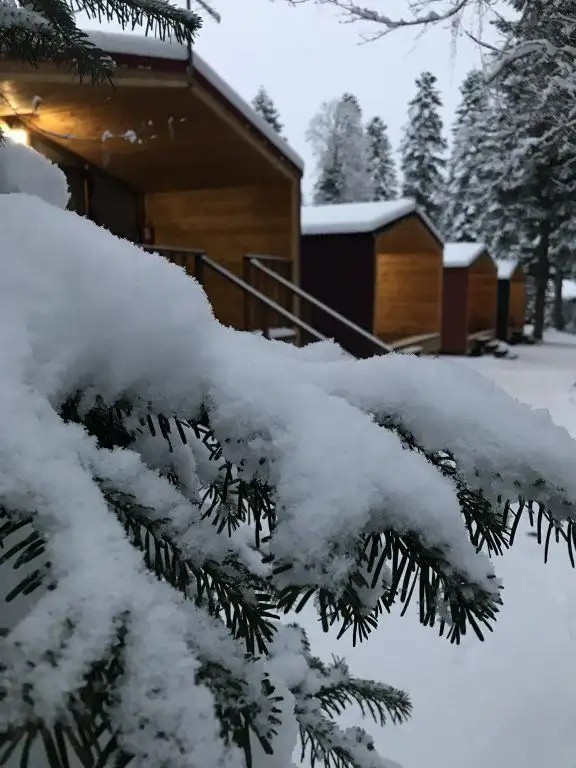 FOREST HOUSE RESORT