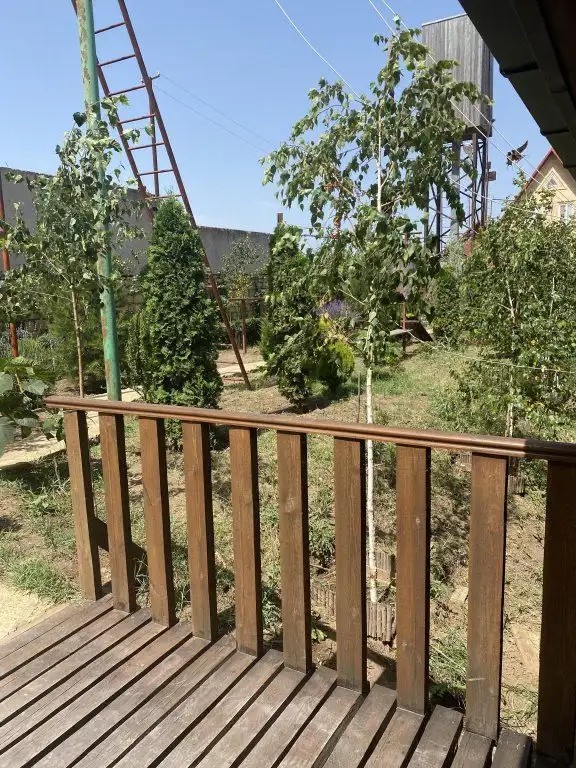 ОТЕЛЬ МЕДУЗА