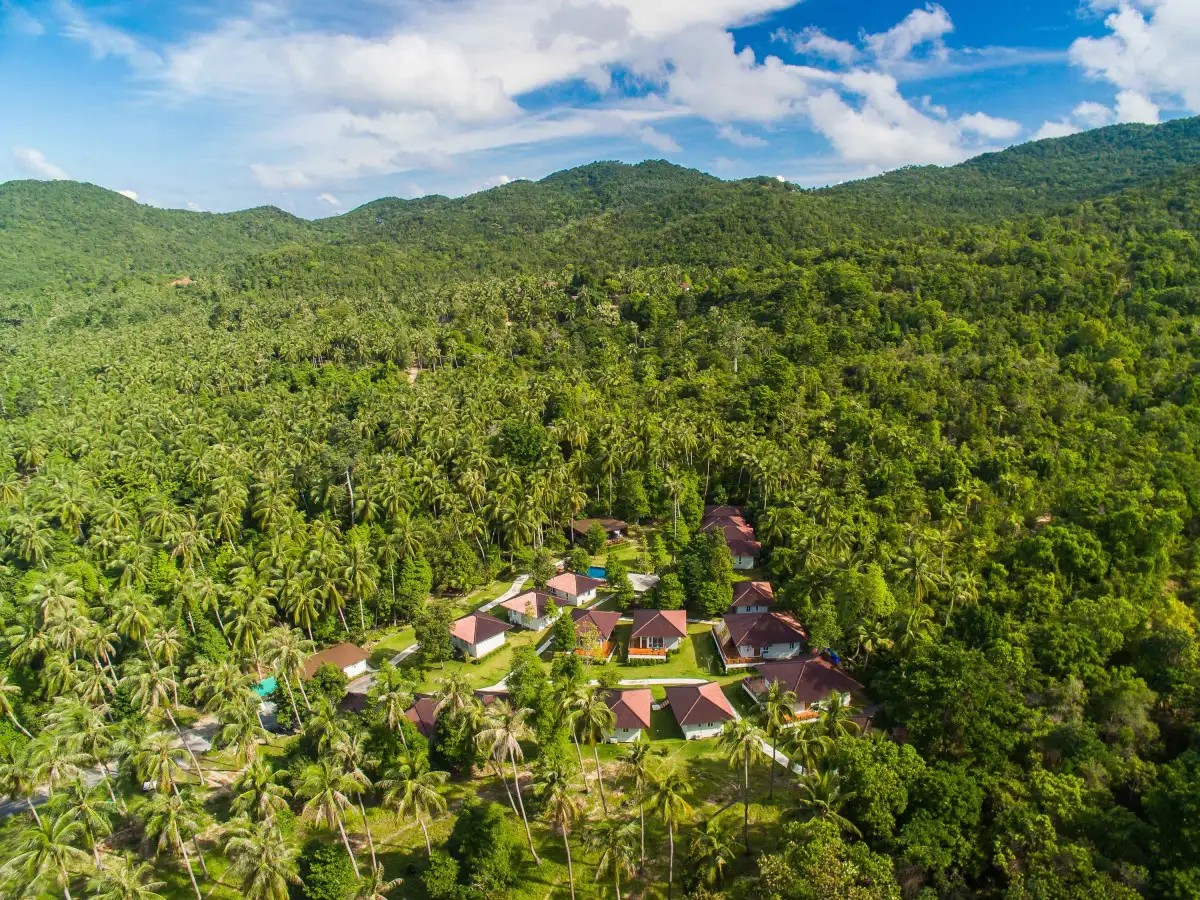 PHANGAN AKUNA