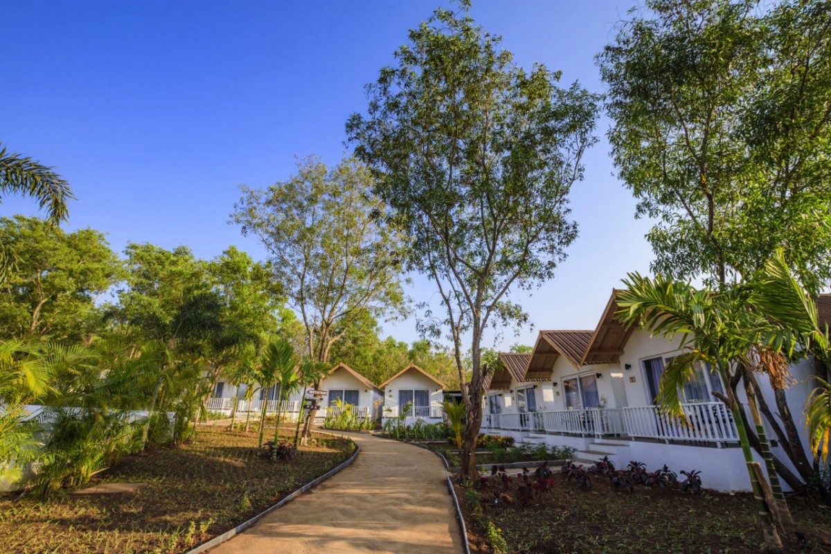 WHITE WOODS RESORT & SPA