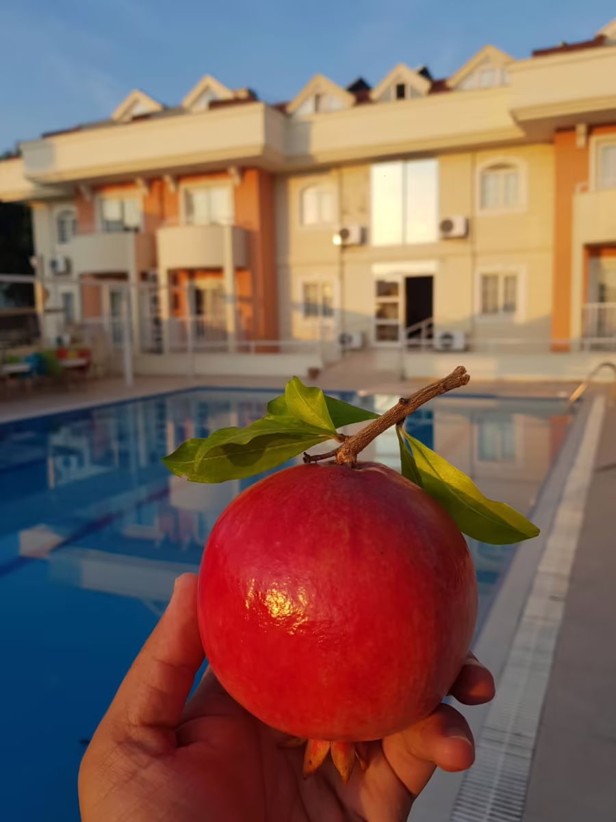 ERAMAX (EX. SAVROSE SUITE HOTEL)