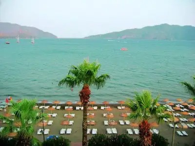ROYAL MARIS