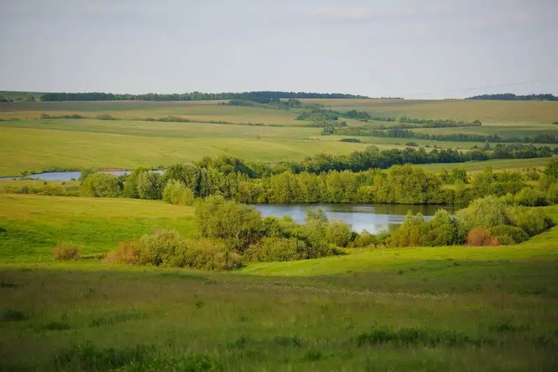 ЯГОДНОЕ Б/О