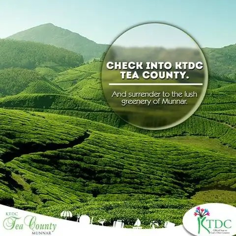 TEA COUNTY