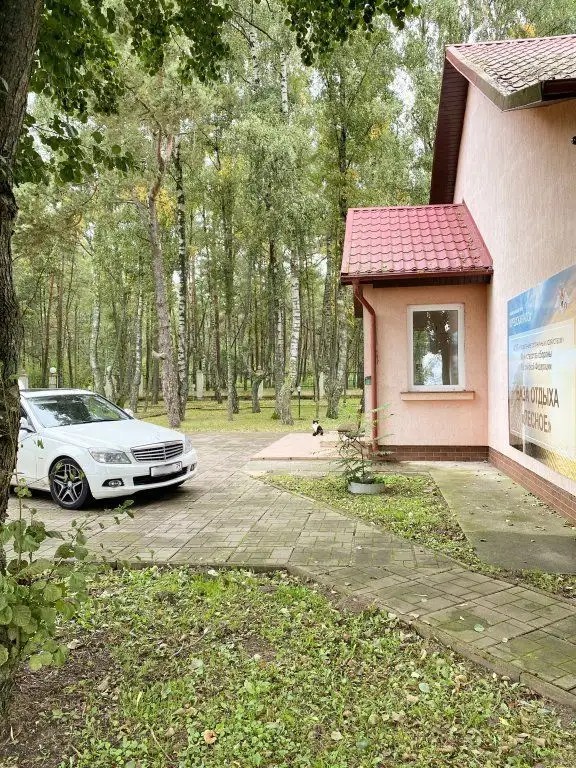 БАЗА ОТДЫХА ЛЕСНОЕ