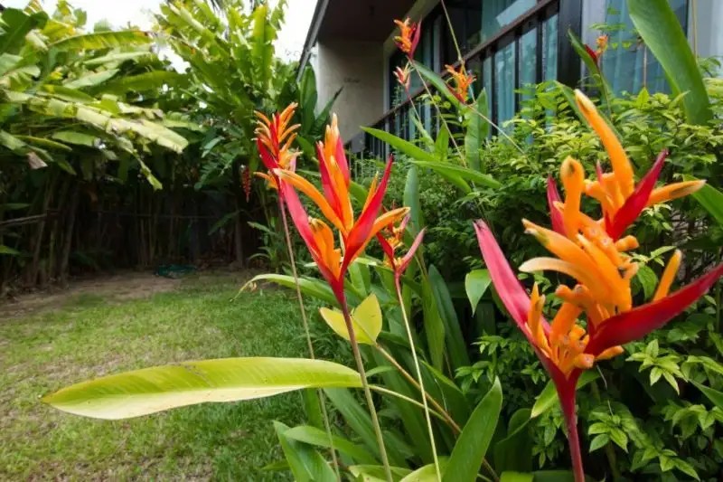 HIMAPHAN BOUTIQUE RESORT