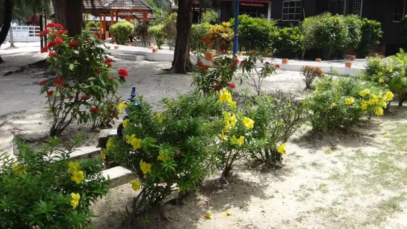 CORAL REDANG ISLAND RESORT