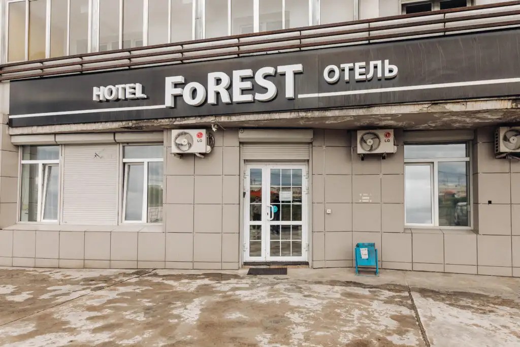 FOREST (ФОРЕСТ)