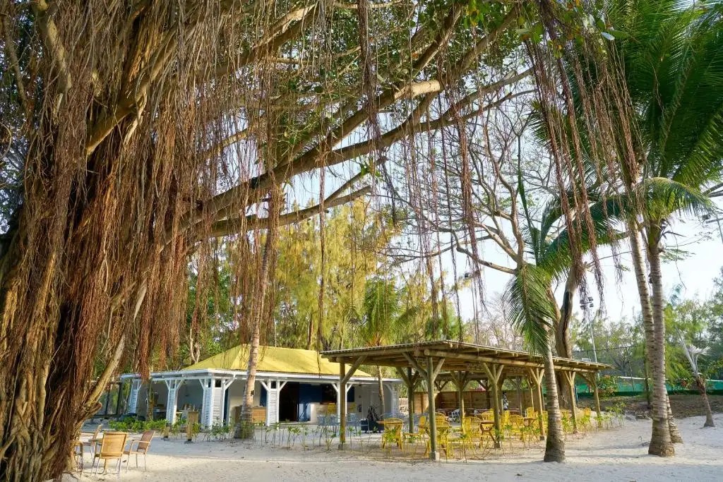 LAGOON ATTITUDE ADULTS ONLY 18+