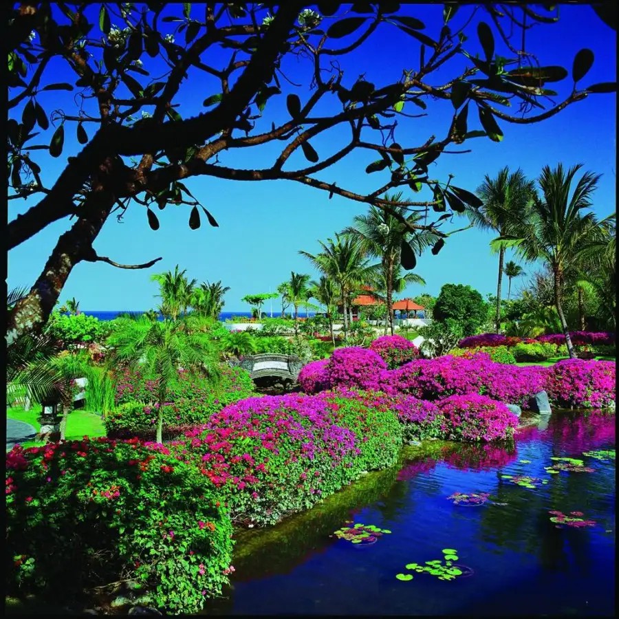 BALI HYATT