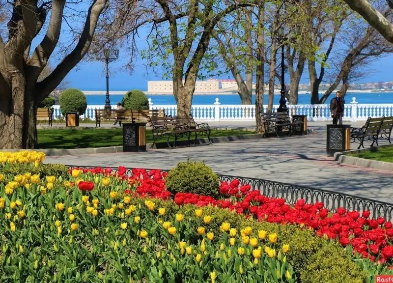 ВИЛЛА ВИОЛА