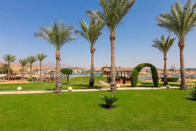 XPERIENCE GOLDEN SANDY BEACH
