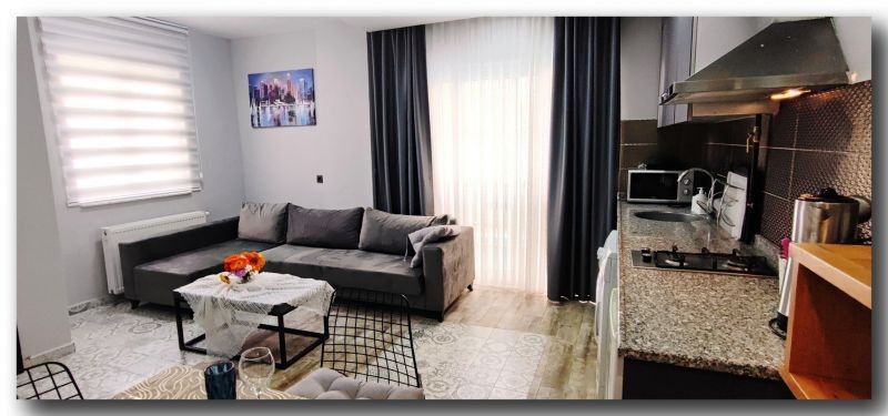 standart 1+1 apartment