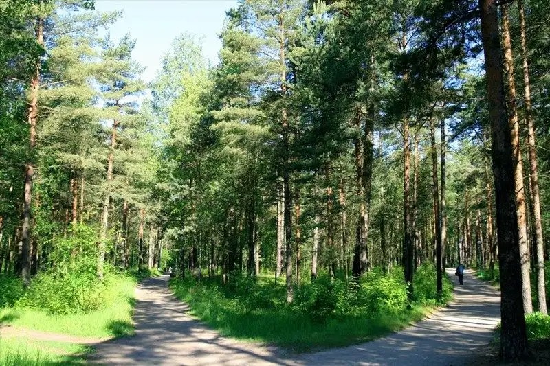 СЕСТРОРЕЦКИЙ КУРОРТ
