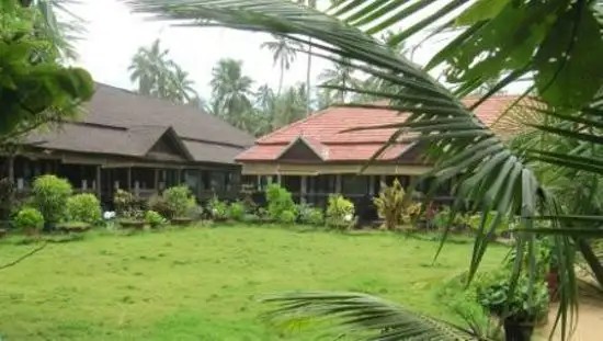 PALM TREE HERITAGE