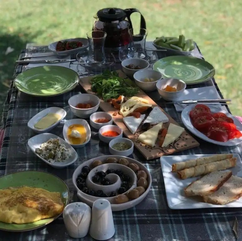 OLIVIA OTEL ALACATI