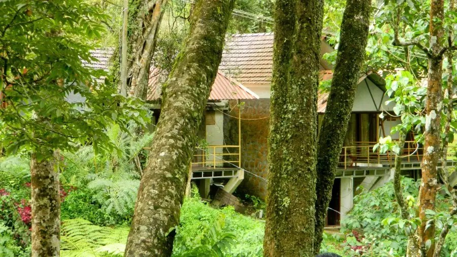 DEEP WOODS RESORT