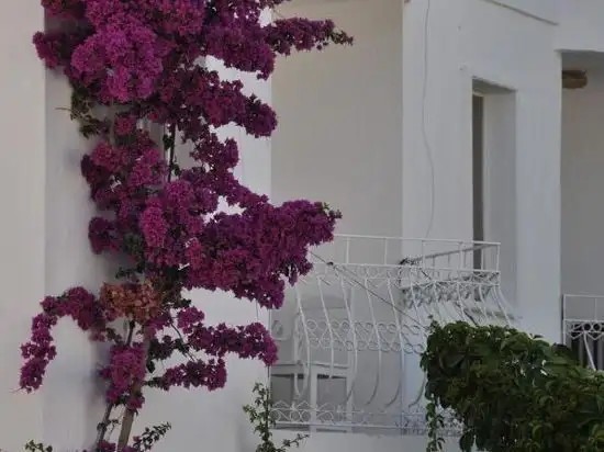 ILGIN HOTEL ORTAKENT