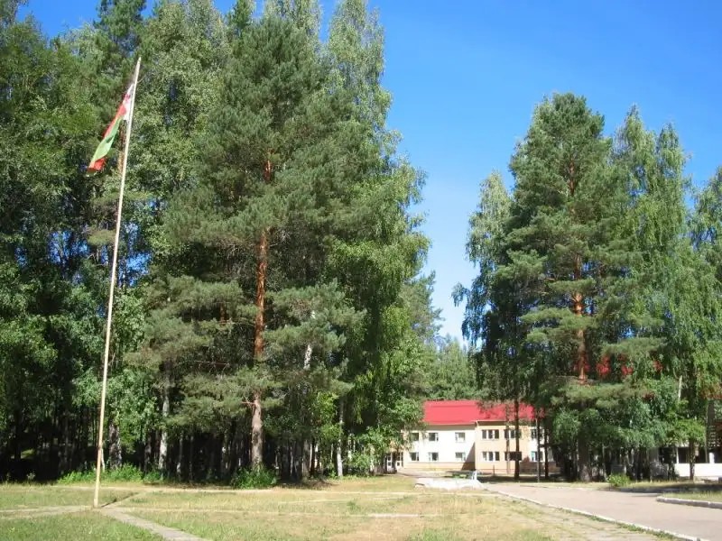 ЧАЙКА