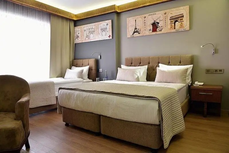 THE ELEGANT HOTEL